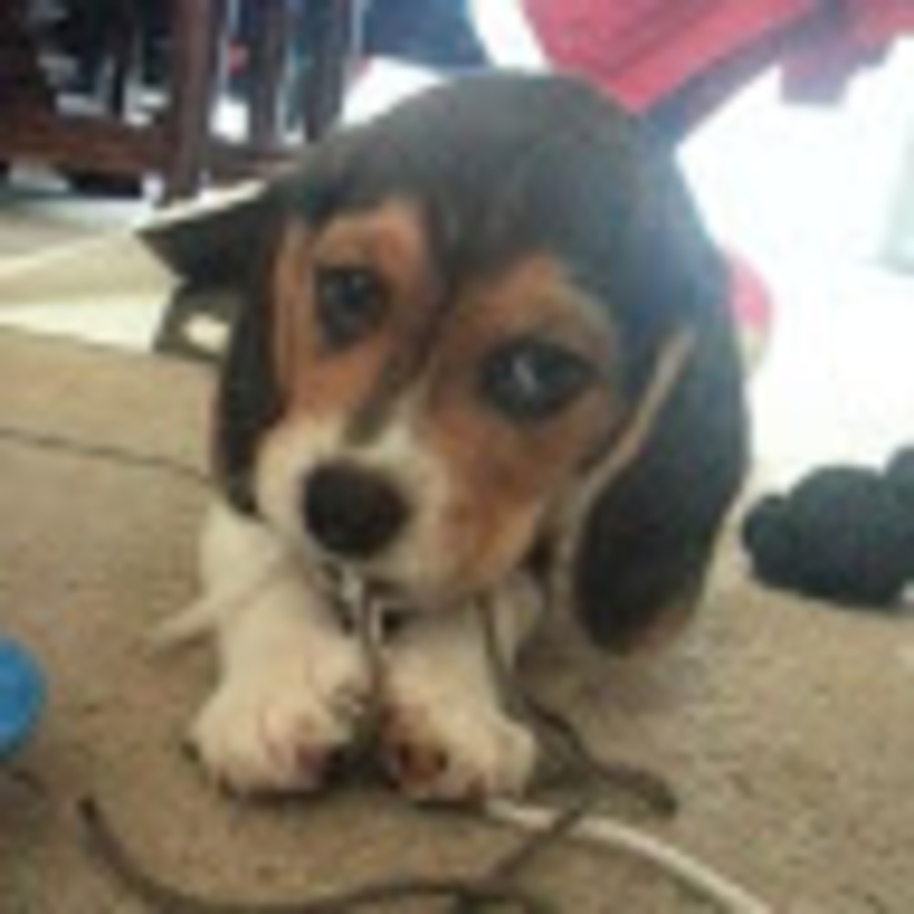 Meet your Posher, Jeannine